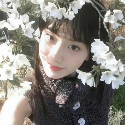 笑盗江湖